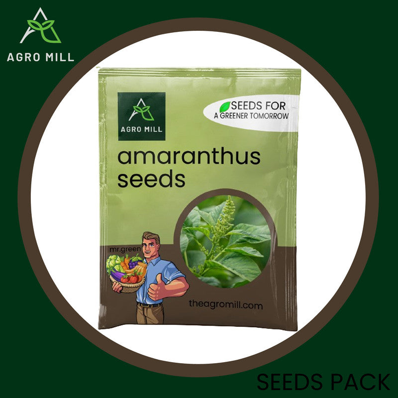 Green Amaranthus Haven: The Ultimate Grow Box for Chaulai Amaranth Green Math