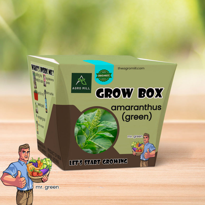 Green Amaranthus Haven: The Ultimate Grow Box for Chaulai Amaranth Green Math