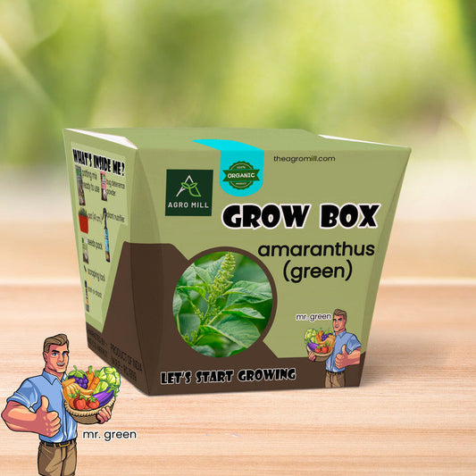 Green Amaranthus Haven: The Ultimate Grow Box for Chaulai Amaranth Green Math