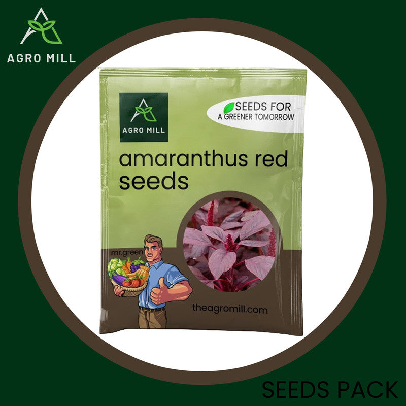 Red Amaranth Retreat: The Ultimate Amaranth Chaulai Red Math Grow Box