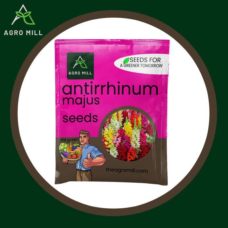 Snapdragon Sanctuary: Your Antirrhinum Majus Grow Box