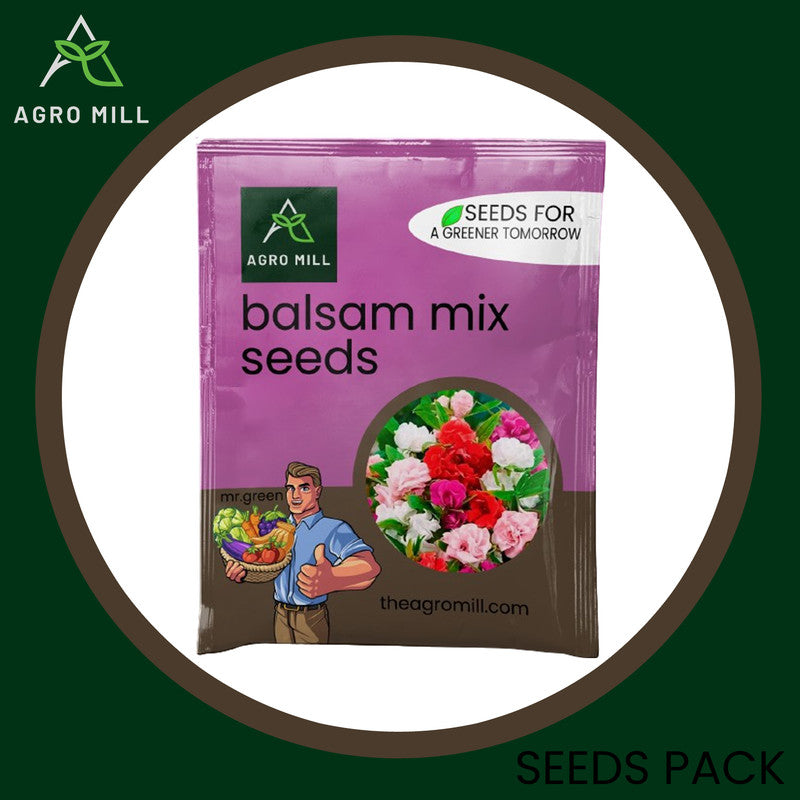 Balsam Mix Grow Box: Vibrant Flower Gardening Kit