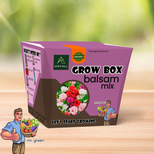 Balsam Mix Grow Box: Vibrant Flower Gardening Kit