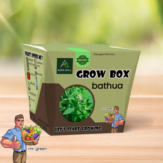 Bathua Bounty: The Ultimate Lamb's Quarters Grow Box