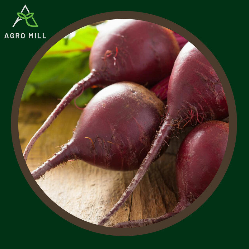 Beetroot | Table Beet |Sugar Beet |Chukandar | Vegetable Seeds for Home Garden | Farming | Open Pollinated | 100% Organic | Non Gmo | 10 Gm.