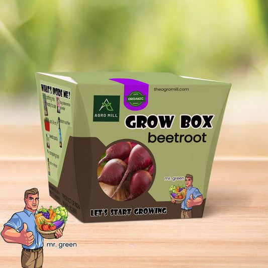 Beetroot Bonanza: The Ultimate Grow Box for Chukandar