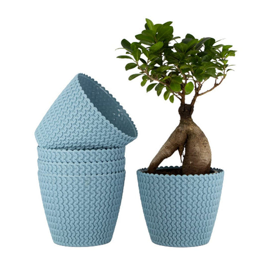 Elegant 7-Inch Jade Planters | Set of 5 | Blue