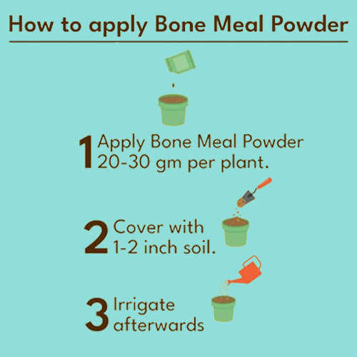 Bone Meal Plant Food- Organic Fertilizer for Plant Growth