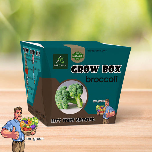 Greenscape: Cultivating Broccoli from the Grow Box