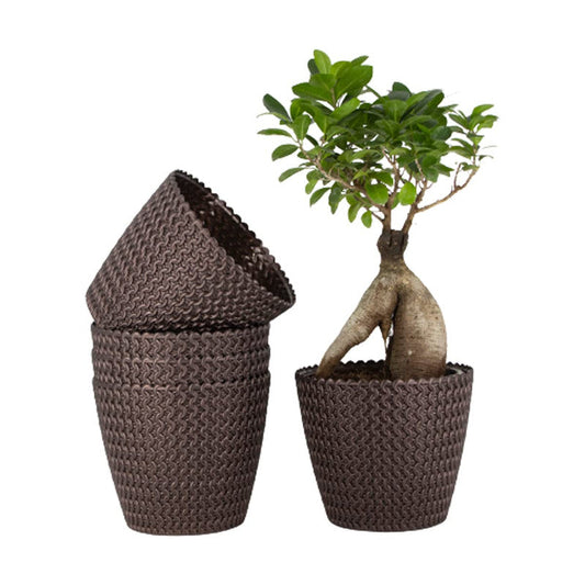 Elegant 7-Inch Jade Planters | Set of 5 | Brown