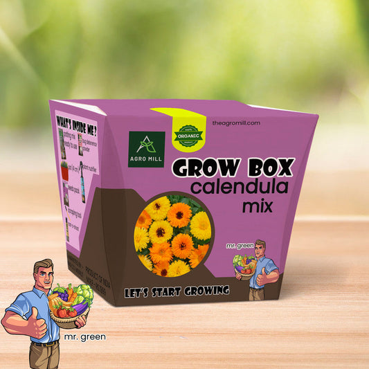 Calendula Mix Grow Box: Bright and Beautiful Flower Gardening Kit