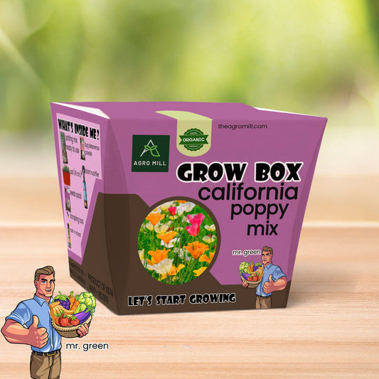 California Poppy Mix Grow Box: Stunning Flower Gardening Kit