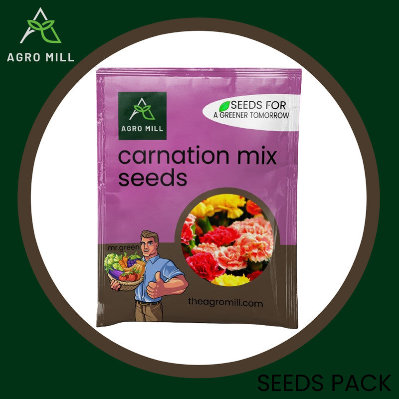 Carnation Mix Grow Box: Vibrant Flower Gardening Kit