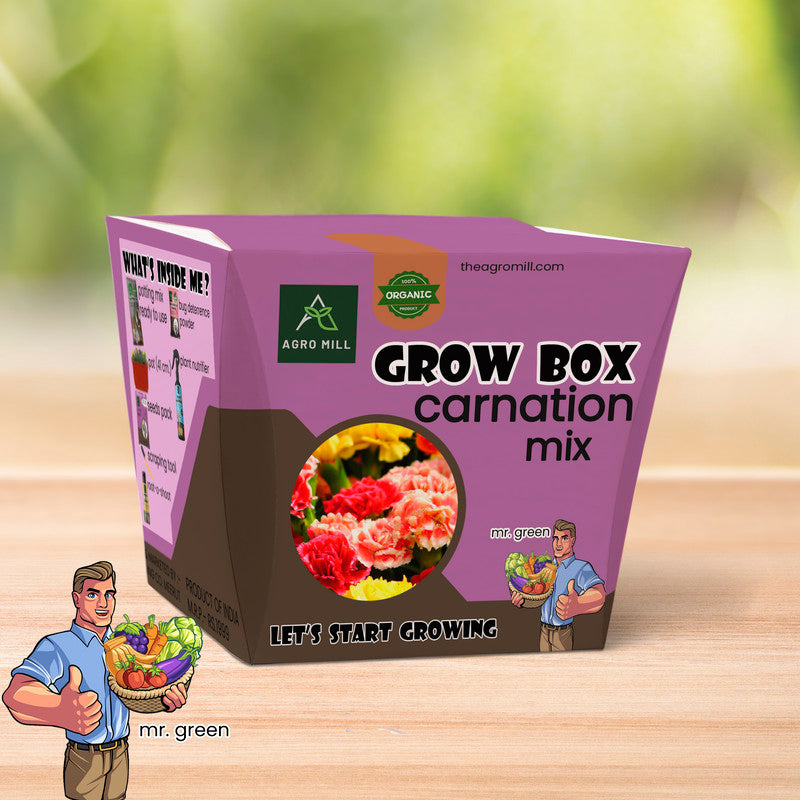 Carnation Mix Grow Box: Vibrant Flower Gardening Kit