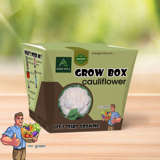 Cauliflower Grove: The Ultimate Phool Gobhi Grow Box