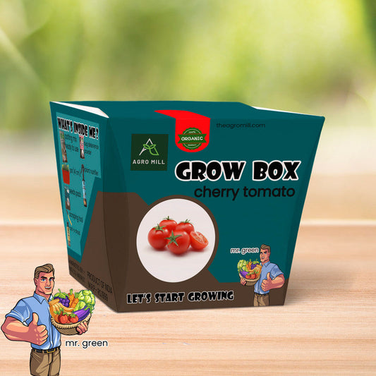 Scarlet Bounty: Growing Cherry Tomatoes from the Grow Box