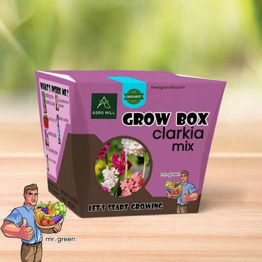 Clarkia Canvas: The Vibrant Mix Grow Box