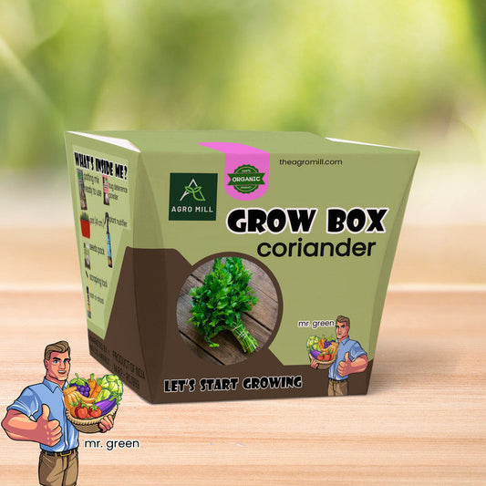 Coriander Corner: The Ultimate Dhaniya Grow Box