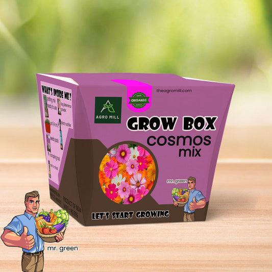 Cosmic Flourish: The Cosmos Mix Grow Box