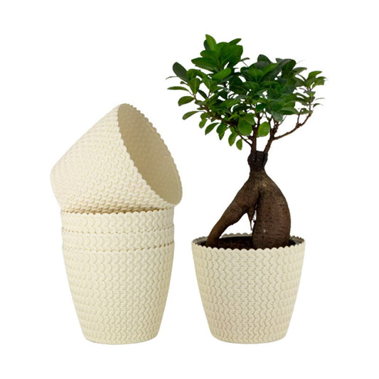 Elegant 7-Inch Jade Planters | Set of 5 | Crème