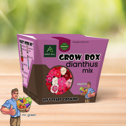 Floral Harmony: Dianthus Mix Grow Box