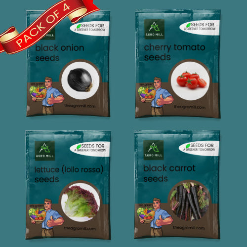 Exotic Vegetables Seeds Combo | Black onion | Cherry Tomato | Lettuce Lollo Rosso  | Black Carrot | 100% Organic | Non Gmo