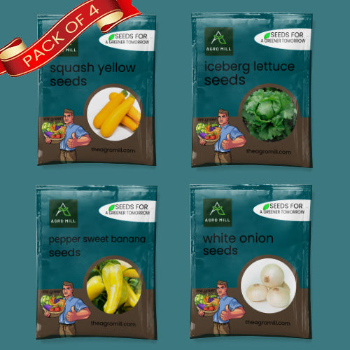 Exotic Vegetables Seeds Combo | Yellow Zucchini | Iceberg Lettuce | Pepper Sweet Banana | White Onion | 100% Organic | Non Gmo