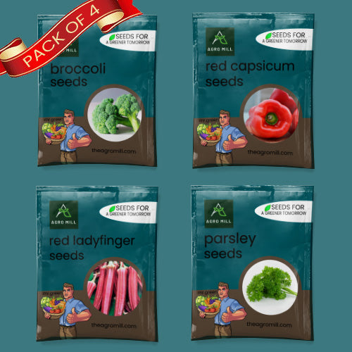 Exotic Vegetables Seeds Combo | Broccoli | Red Capsicum | Red Ladyfinger | Parsley | 100% Organic | Non Gmo