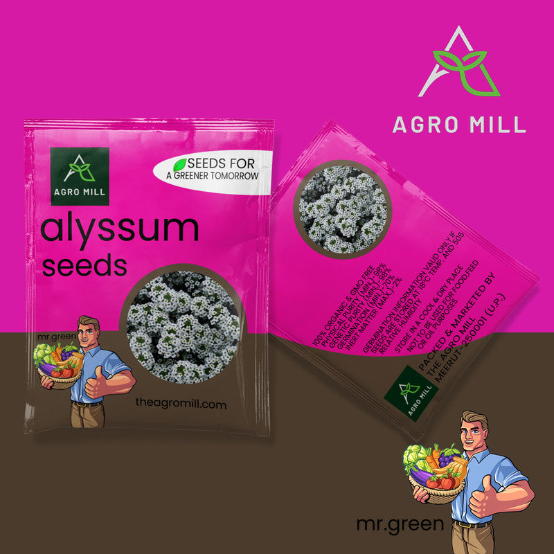 Flower Seeds Combo | Alyssum | Helichrysum | Tithonia | Clarkia | 100% Organic | Non Gmo