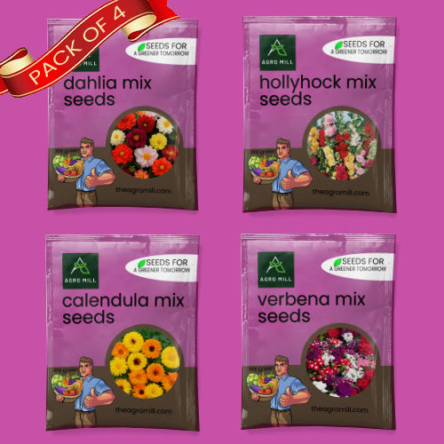 Flower Seeds Combo | CALENDULA MIX | HOLLYHOCK MIX | VERBENA MIX | DAHLIA MIX | 100% Organic | Non Gmo