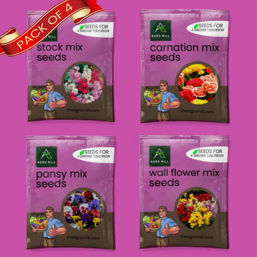 Flower Seeds Combo | CARNATION MIX | PANSY MIX | WALL FLOWER MIX | STOCK MIX |100% Organic | Non Gmo