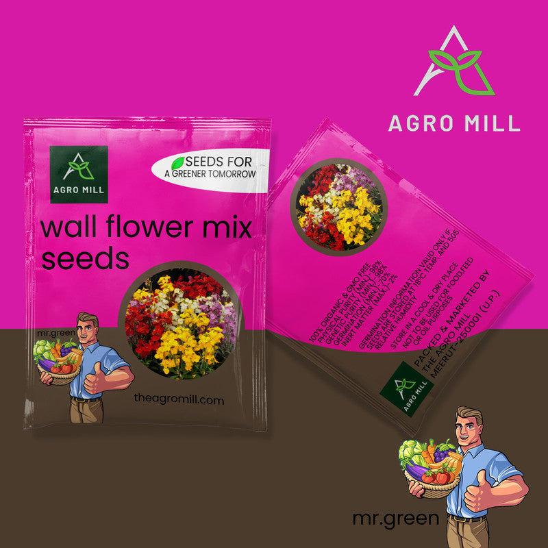 Flower Seeds Combo | CARNATION MIX | PANSY MIX | WALL FLOWER MIX | STOCK MIX |100% Organic | Non Gmo