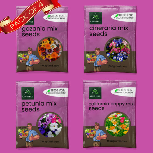 Flower Seeds Combo |CINERARIA MIX | PETUNIA MIX | CALIFORNIA POPPY MIX | GAZANIA MIX |100% Organic | Non Gmo