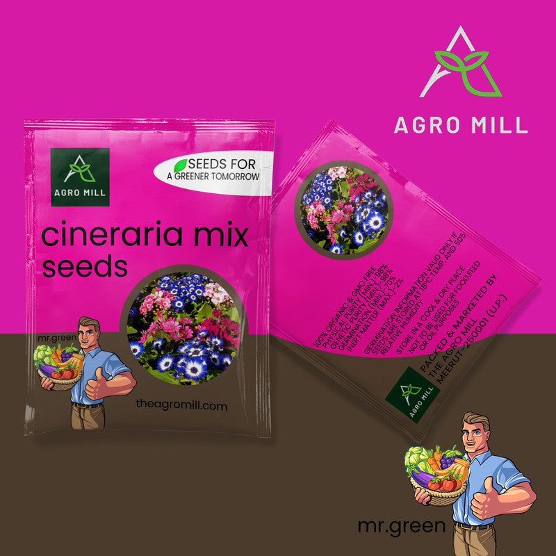 Flower Seeds Combo |CINERARIA MIX | PETUNIA MIX | CALIFORNIA POPPY MIX | GAZANIA MIX |100% Organic | Non Gmo