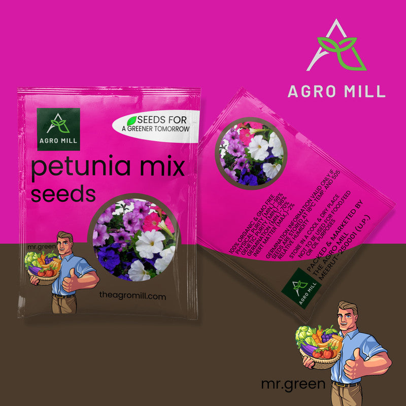 Flower Seeds Combo |CINERARIA MIX | PETUNIA MIX | CALIFORNIA POPPY MIX | GAZANIA MIX |100% Organic | Non Gmo