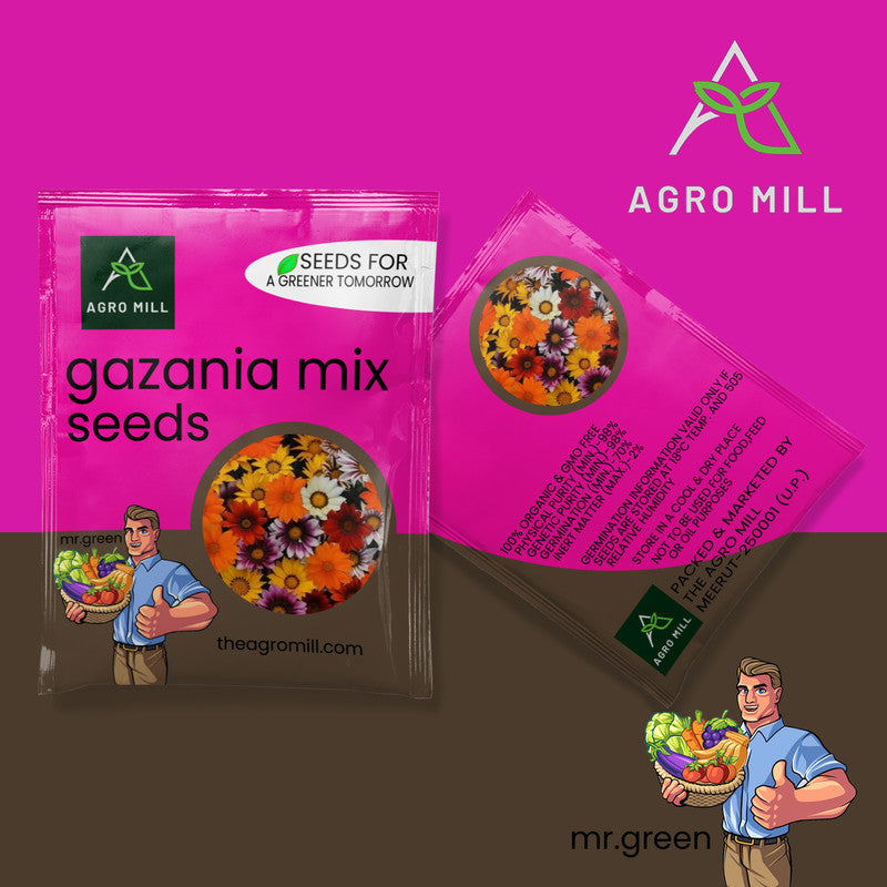 Flower Seeds Combo |CINERARIA MIX | PETUNIA MIX | CALIFORNIA POPPY MIX | GAZANIA MIX |100% Organic | Non Gmo