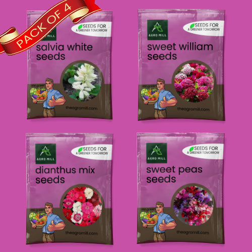 Flower Seeds Combo |SWEET WILLIAM | SALVIA WHITE | DIANTHUS MIX | SWEET PEA |100% Organic | Non Gmo