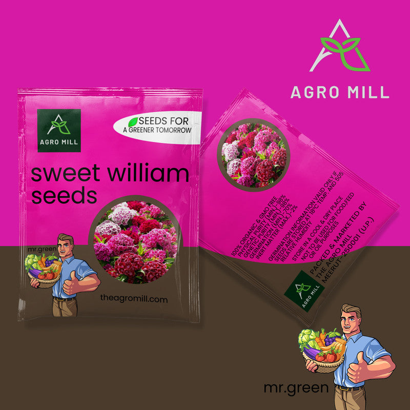 Flower Seeds Combo |SWEET WILLIAM | SALVIA WHITE | DIANTHUS MIX | SWEET PEA |100% Organic | Non Gmo