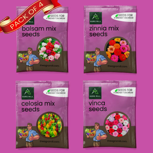 Flower Seeds Combo |BALSAM MIX | CELOSIA MIX | ZINNIA MIX | VINCA | 100% Organic | Non Gmo