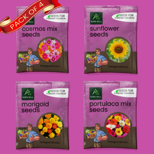 Flower Seeds Combo | COSMOS MIX | MARIGOLD | PORTULACA MIX | SUNFLOWER | 100% Organic | Non Gmo