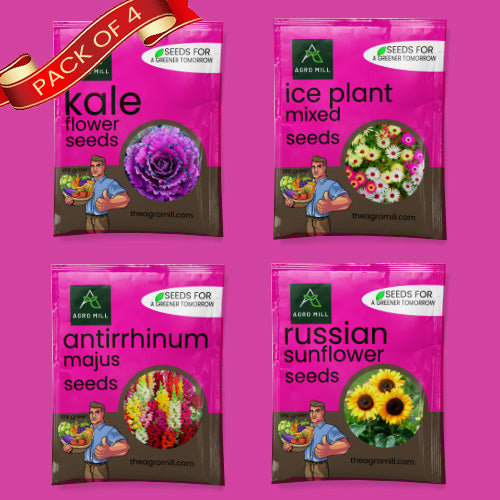 Flower Seeds Combo | Antirrhinum Majus | Ice Plant Mixed | Kale | Russian Sunflower|  100% Organic | Non Gmo