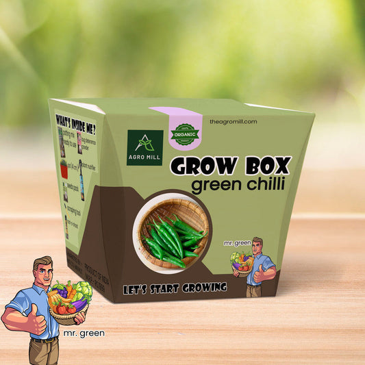 Green Chili Sanctuary: The Ultimate Grow Box for Hari Mirch