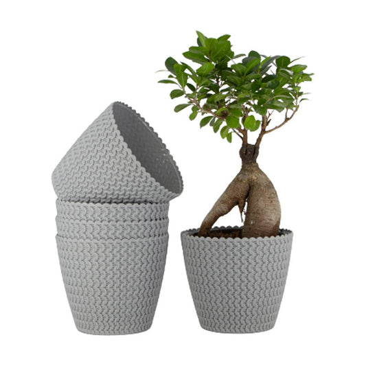 Elegant 7-Inch Jade Planters | Set of 5 | Grey