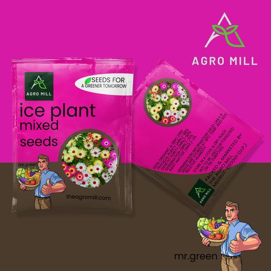 Ice Plant Mixed | Flower Seeds for Home Garden | Open Pollinated | 100% Organic | Non Gmo | 450-500 SEEDS