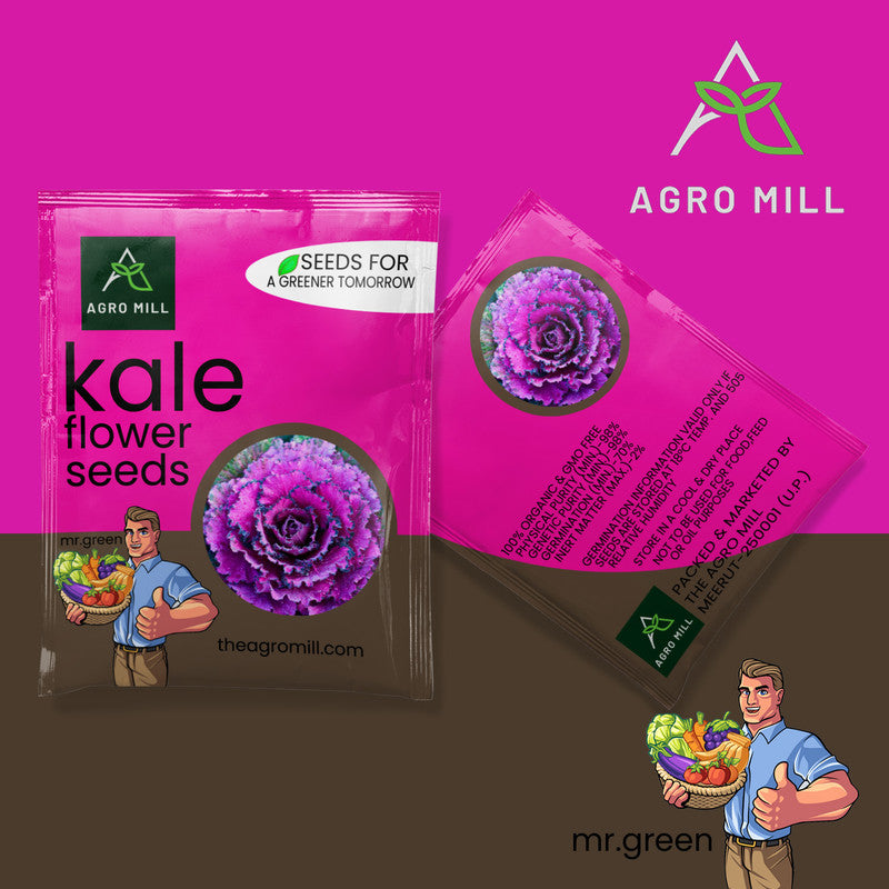 Kale | Flower Seeds for Home Garden | Open Pollinated | 100% Organic | Non Gmo | 230-250 SEEDS