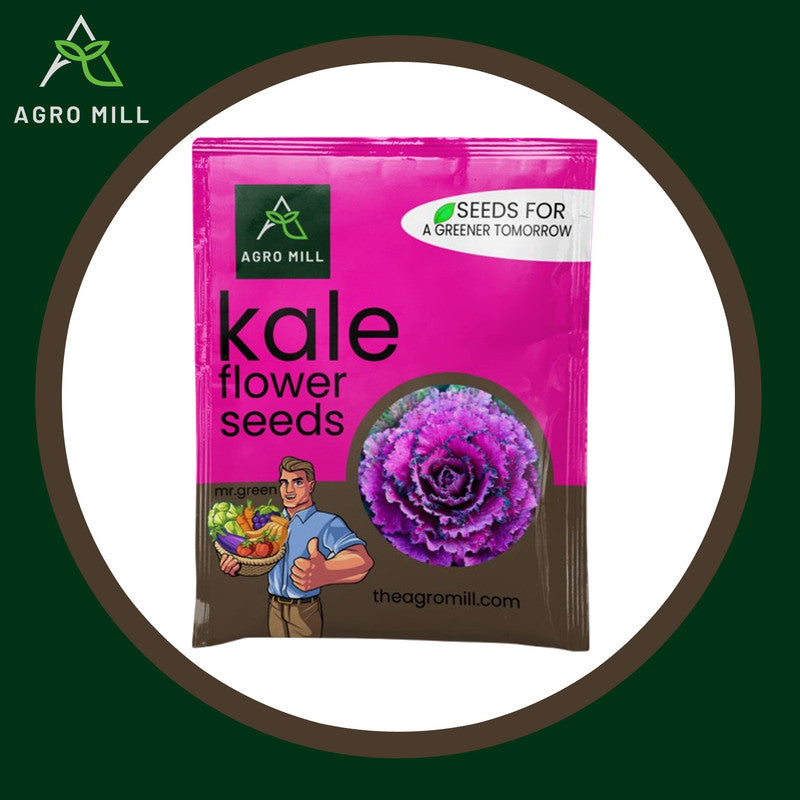 Kale Blooms: Your Complete Grow Box