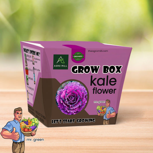 Kale Blooms: Your Complete Grow Box