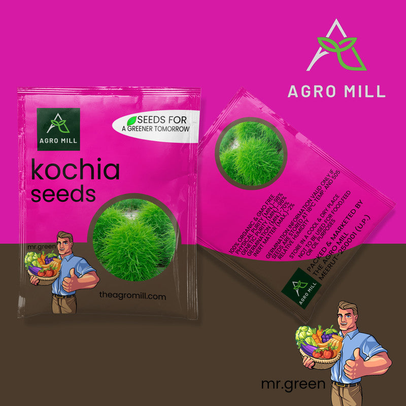 Kochia | Flower Seeds for Home Garden | Open Pollinated | 100% Organic | Non Gmo | 450-500 SEEDS