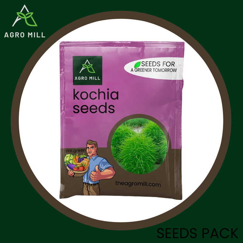 Whimsical Winds: Kochia Grow Box