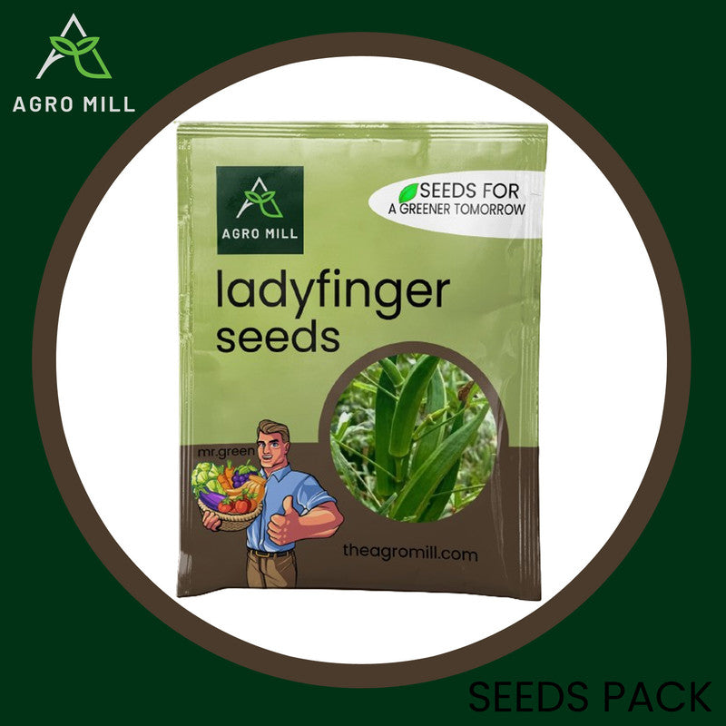 Lady Finger Oasis: The Ultimate Okra Grow Box